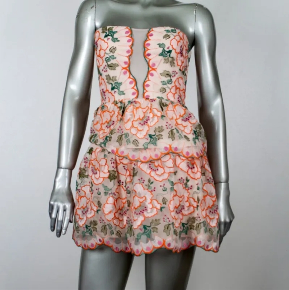BCBG MAX AZRIA Guiliana Floral  Embroidered Dress Size 0 RRP $518